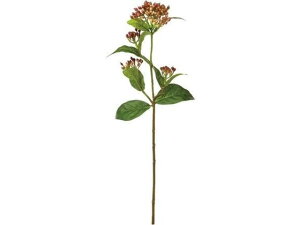 YDM/ ro[ieBiX [u YDMilfBXvC~[WAj FG4576-MAV