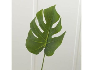 YDM/ Xe[t O[ YDMilfBXvC~[WAj FG4486-GR