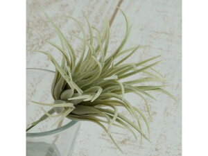 YDM/ `WA O[ YDMilfBXvC~[WAj FG4446-GR