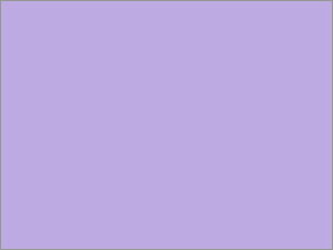 F㎿  A4 Y hE 1000 kzR[|[V 5267333