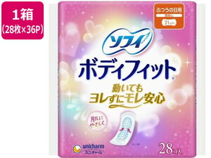 \tB{fBtBbg HȂ 28×36pbN jE`[