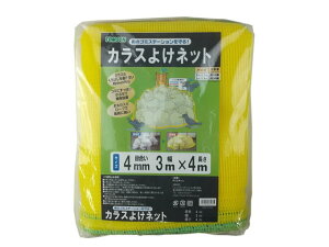 g\/JX悯lbg 3×4m CG[ g\R[|[V