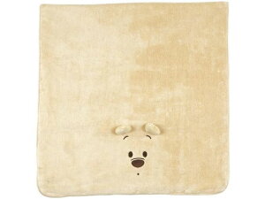 zoX^I 60×120cm ܂̃v[ XP[^[ TODR1