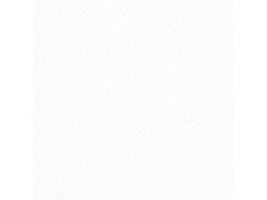 和紙 鳥の子 エンボス NO.1 白 5枚 ヘイコー 002108000