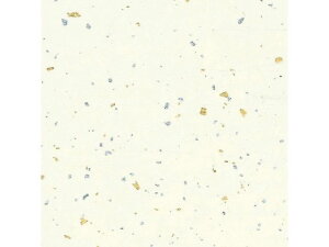a _U  50 wCR[ 002107602