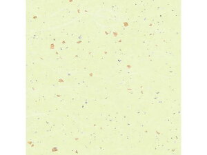 a _U  50 wCR[ 002107603