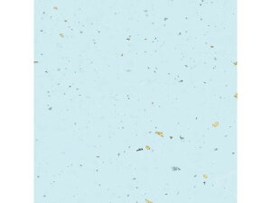 a _U F 50 wCR[ 002107605