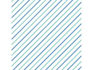    ΐ61 BWG 100 wCR[ 002333202