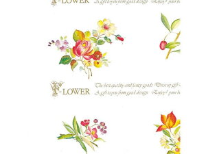  S VbNXt[ 50 wCR[ 002418900