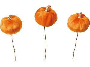 xxbgpvLsbN3P OR YDMilfBXvC~[WAj HW-1606