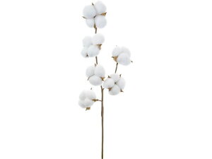 RbgXv[ YDMilfBXvC~[WAj FG -5053-W