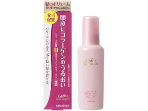 fB[Xѓ pуGbZX[{[PA]N {X