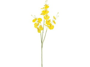 IVW[ CG[ YDMilfBXvC~[WAj FF-3091Y