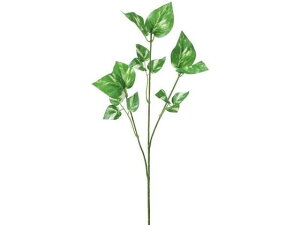 |gXXv[ O[ YDMilfBXvC~[WAj FG-4368RGR