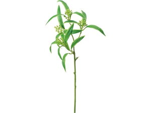 hZi[t O[ YDMilfBXvC~[WAj FG-5328GR