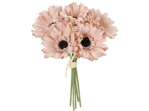 YDM/K[xoh×5 x[W YDMilfBXvC~[WAj FB-2643BE