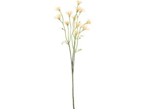 YDM/RtH[gfCW[Xv[ IW YDMilfBXvC~[WAj FD-0134OR