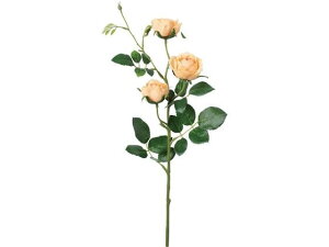 YDM/RtH[g~tB[[YXv[ IW YDMilfBXvC~[WAj FD-0128OR