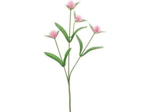 Zj`RE CgsN YDMilfBXvC~[WAj FF-3081L/P