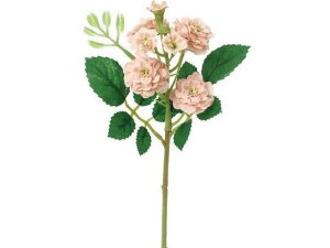 YDM/~j||[YsbN x[W YDMilfBXvC~[WAj FA-7424BE