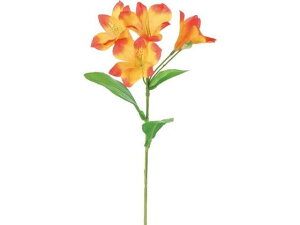 AXgA IW YDMilfBXvC~[WAj FF-3061OR