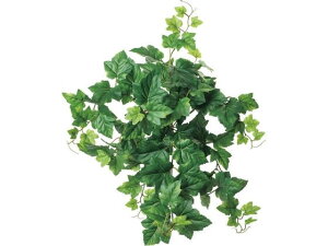 YDM/UVO[vACr[ubV O[ YDMilfBXvC~[WAj GL-5338GR