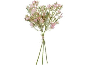 YDM/Wv\[oh zCgsN YDMilfBXvC~[WAj FB-2605-W/P