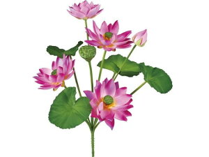 [^XubV x_[ YDMilfBXvC~[WAj FB-2598LAV