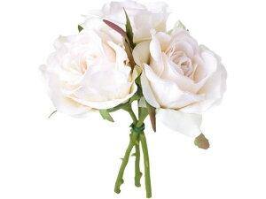 YDM/t[[Yoh3P N[ YDMilfBXvC~[WAj FB-2575CR