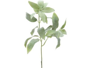 Z[WsbN YDMilfBXvC~[WAj FG -5041-W/G