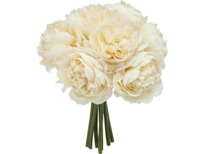 YDM/ptB[iLXu[P AC{[ YDMilfBXvC~[WAj FB-2514-IVO