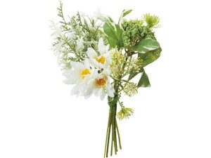 YDM/i`t[~bNXu[P zCg YDMilfBXvC~[WAj FB-2526-W