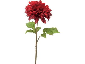 ~[Y_A bh YDMilfBXvC~[WAj FA-7246-R