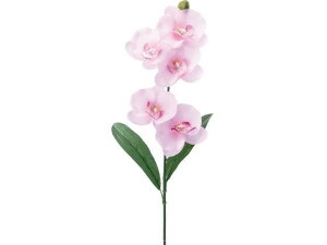 R`E[tcL sN YDMilfBXvC~[WAj FF -2913-P