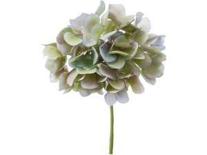 YDM/nChWAsbN O[r[eB[ YDMilfBXvC~[WAj FA-7163-G/B