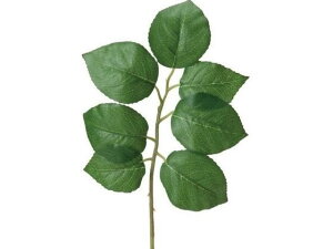 [t CgO[ YDMilfBXvC~[WAj FG-4901-LGR