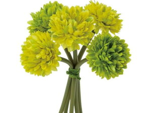 {[}o` O[ YDMilfBXvC~[WAj FB-2471-GR