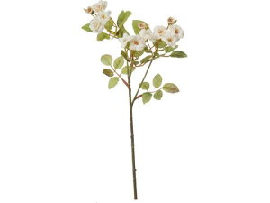 YDM/|jG||[Y N[ YDMilfBXvC~[WAj FA-7110-CR