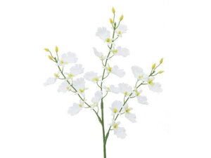 IVW[ zCg YDMilfBXvC~[WAj FFH-0002-W