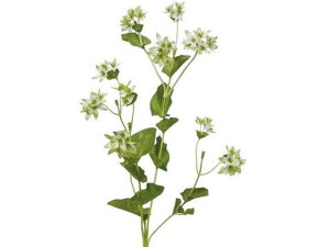 vvE zCgO[ YDMilfBXvC~[WAj FA7081-W/G