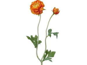 tbtB[iLX IW YDMilfBXvC~[WAj FA7056-OR