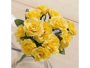 ~j[YubV CG[ YDMilfBXvC~[WAj FB2439-Y