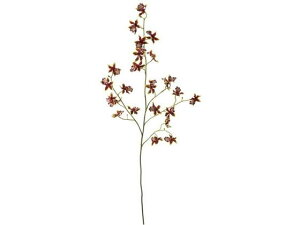 YDM/iWF_VOI[Lbh uE YDMilfBXvC~[WAj FA6970-BR