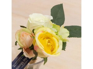 YDM/[Y~bNXo` zCgCG[ YDMilfBXvC~[WAj FB2381-W/Y