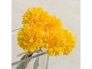 ~js|}sbN YDMilfBXvC~[WAj FB2346-Y