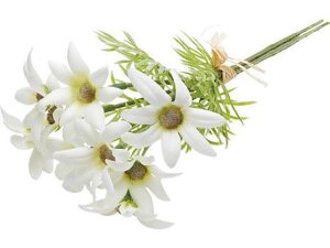 tlt[o` zCg YDMilfBXvC~[WAj FLP3001-W