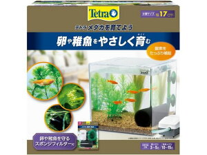 eg _JĂ悤 PL-17KB XyNguYWp