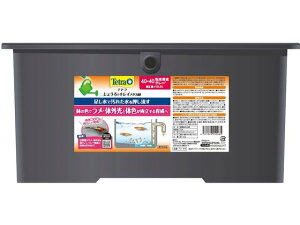 XyNg/eg 傤ŃLC_J40×40 F琬O[ XyNguYWp