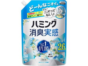 n~O L zCg\[v l 950mL KAO