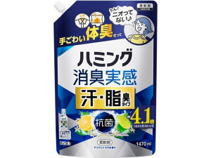 n~O L EL^Cv NAVgX l 1.47L KAO